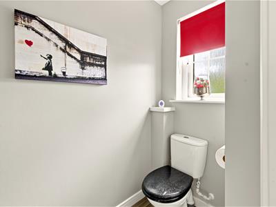 Picture 16